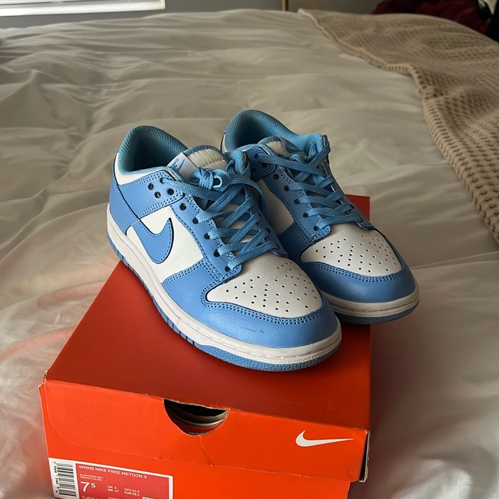 Baby Blue Nike Dunks